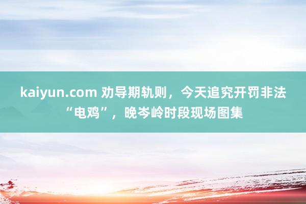 kaiyun.com 劝导期轨则，今天追究开罚非法“电鸡”，晚岑岭时段现场图集