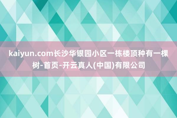 kaiyun.com长沙华银园小区一栋楼顶种有一棵树-首页-开云真人(中国)有限公司