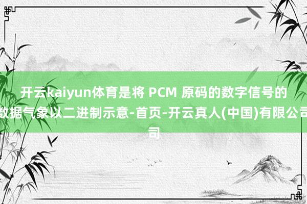 开云kaiyun体育是将 PCM 原码的数字信号的数据气象以二进制示意-首页-开云真人(中国)有限公司