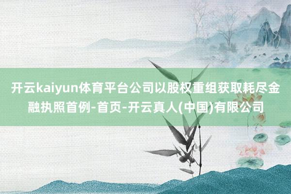 开云kaiyun体育平台公司以股权重组获取耗尽金融执照首例-首页-开云真人(中国)有限公司