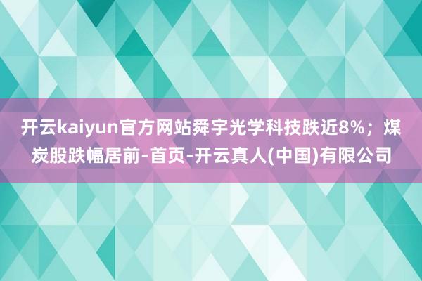 开云kaiyun官方网站舜宇光学科技跌近8%；煤炭股跌幅居前-首页-开云真人(中国)有限公司