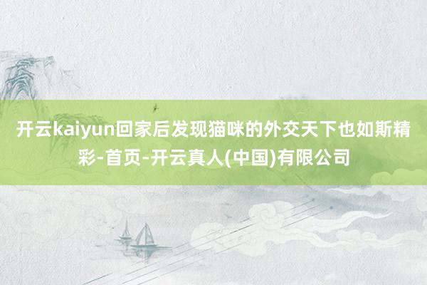 开云kaiyun回家后发现猫咪的外交天下也如斯精彩-首页-开云真人(中国)有限公司
