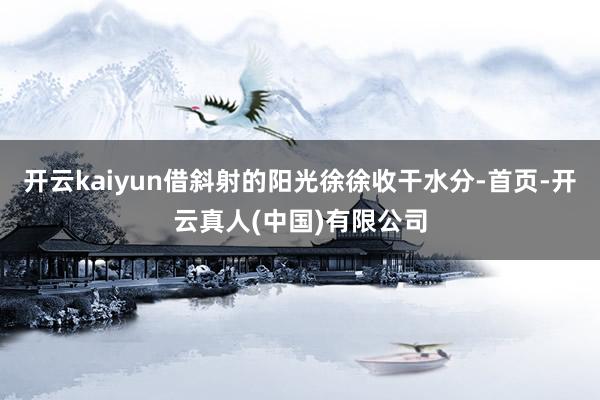 开云kaiyun借斜射的阳光徐徐收干水分-首页-开云真人(中国)有限公司