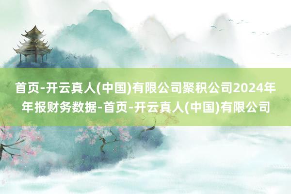 首页-开云真人(中国)有限公司聚积公司2024年年报财务数据-首页-开云真人(中国)有限公司